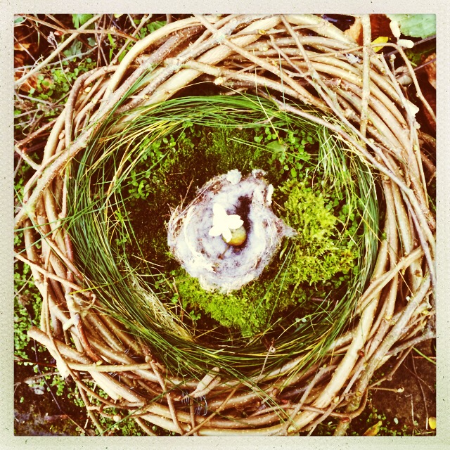 Moss and hazel birds nest I made