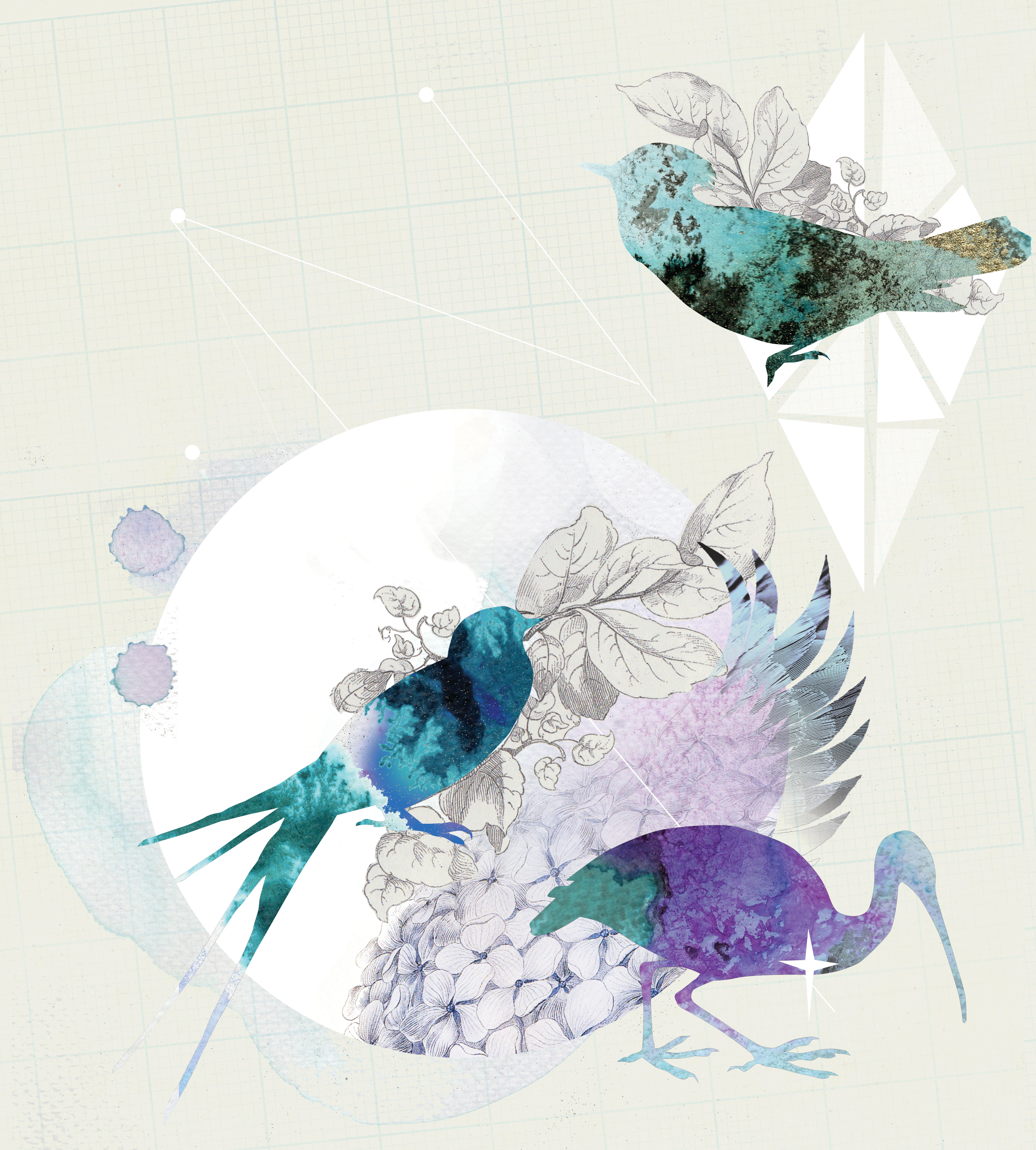 Freelance-wallpaper-Designer-london-uk-illustrator-birds