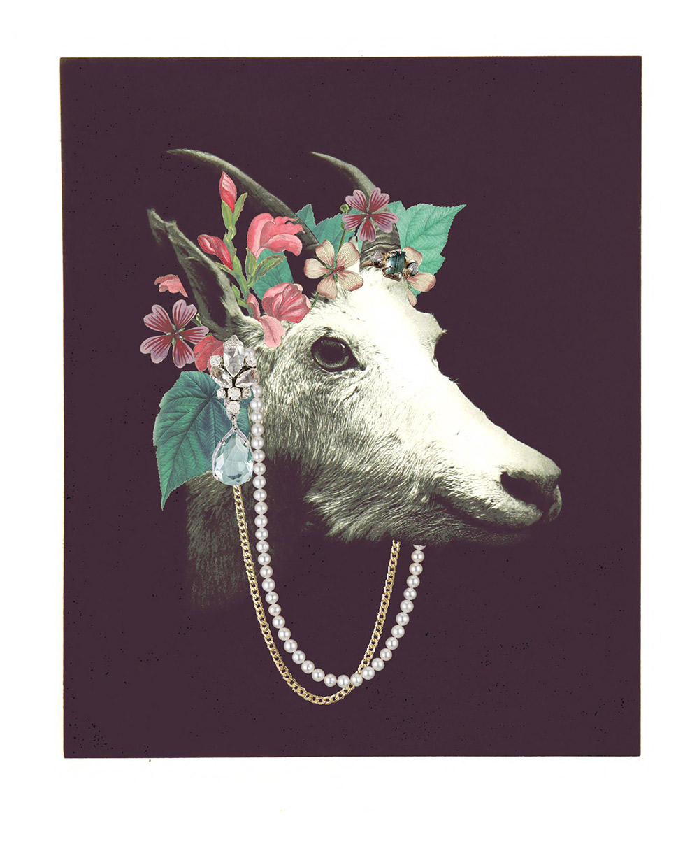 Party goat collage illustration