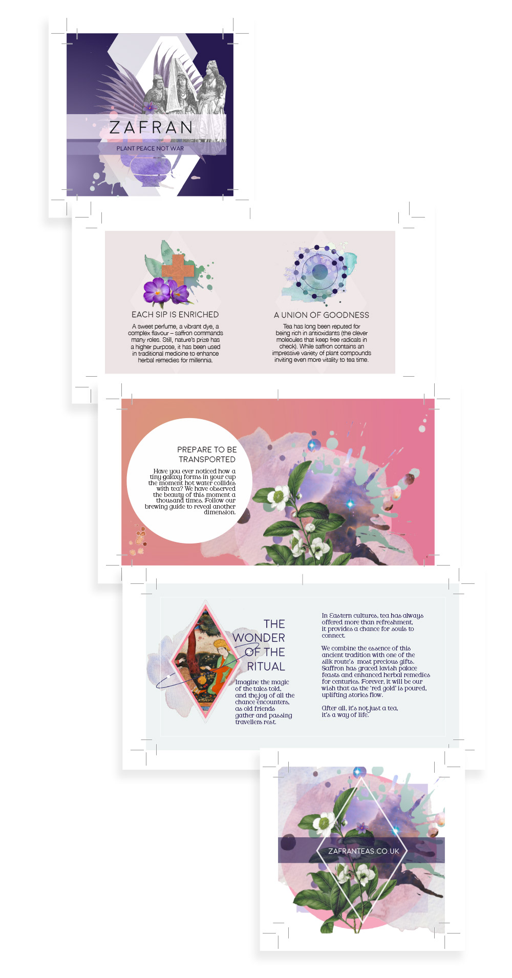 Tea brochure design with illustrations