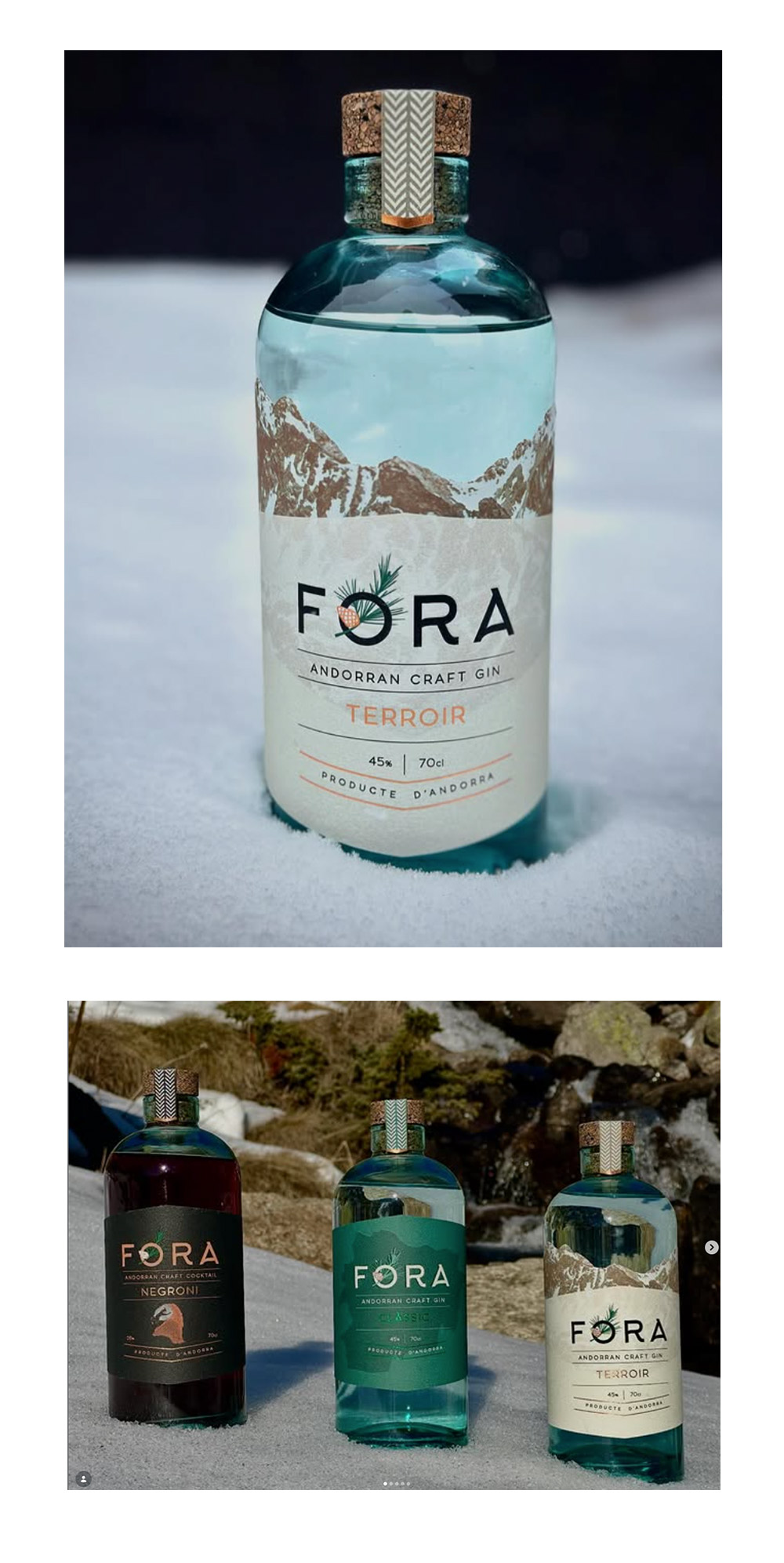 Packaging-and-Branding-for-Artisan-Gin-Fora