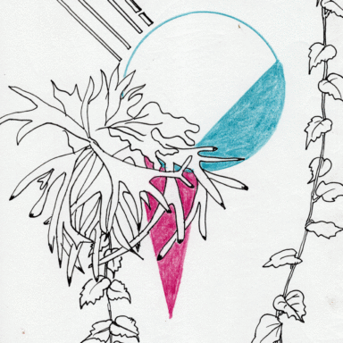 Freelance Graphic Designer Botanical Illustration