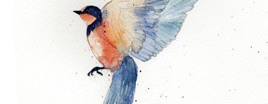 swallow watercolour illustration